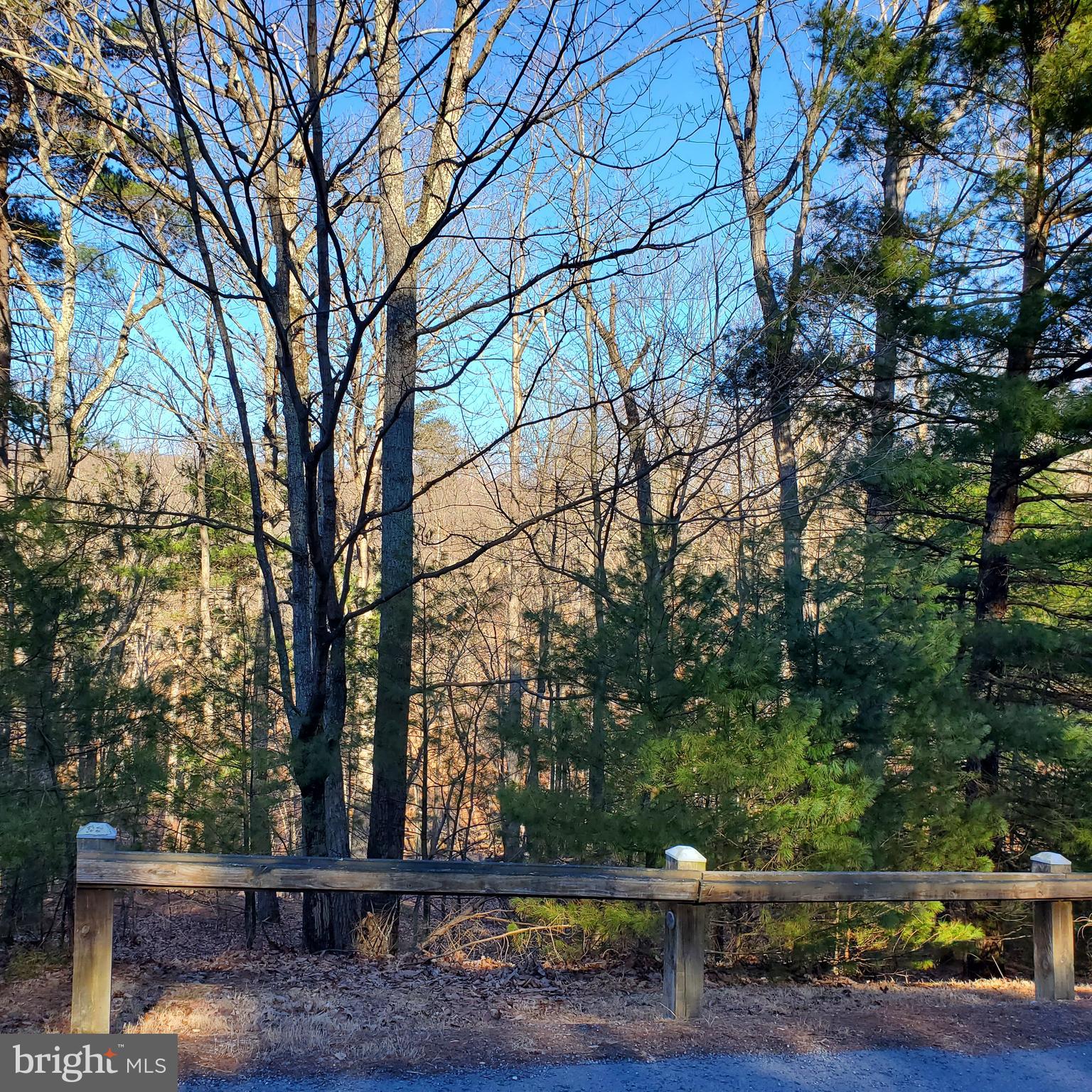 CACAPON SOUTH - Land