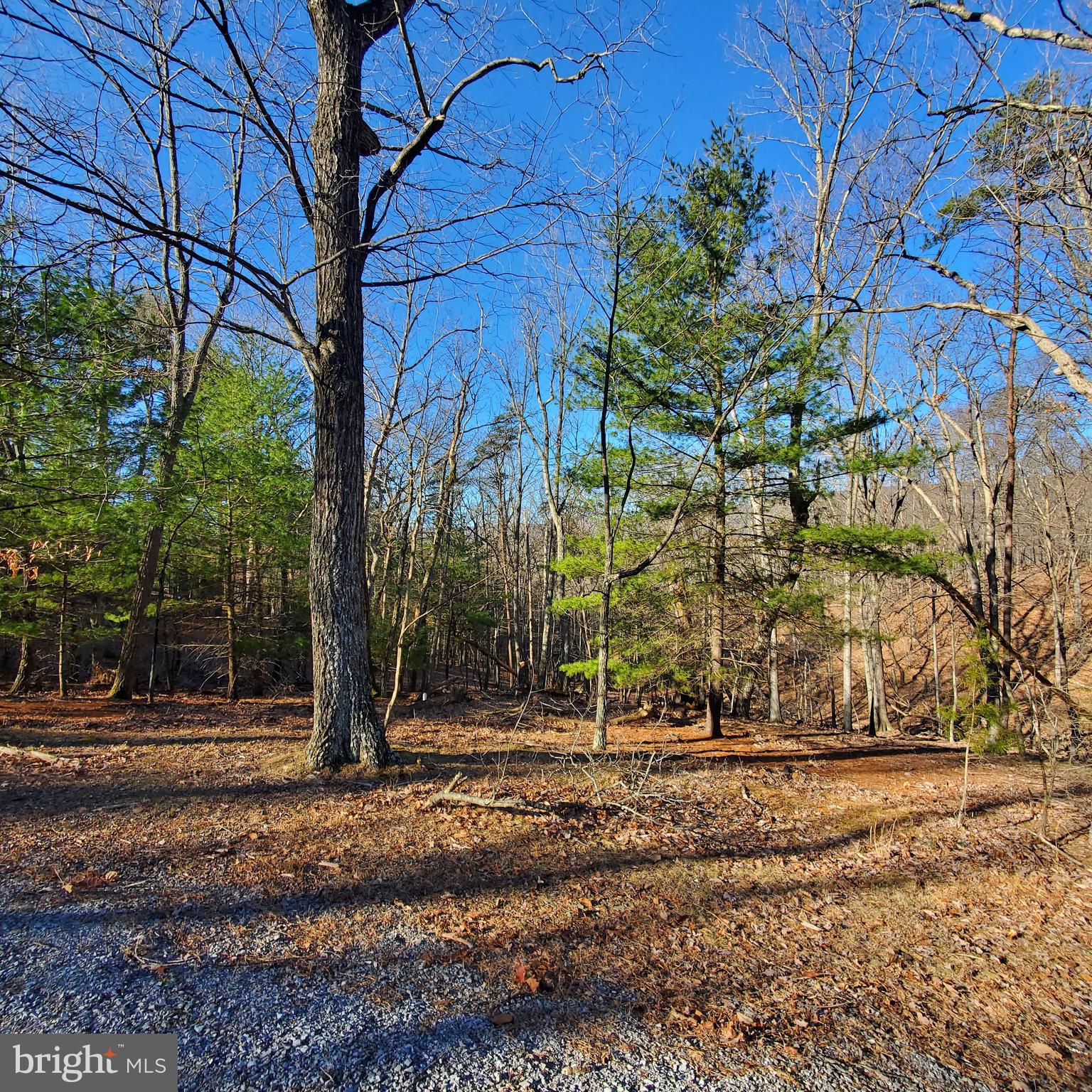 CACAPON SOUTH - Land