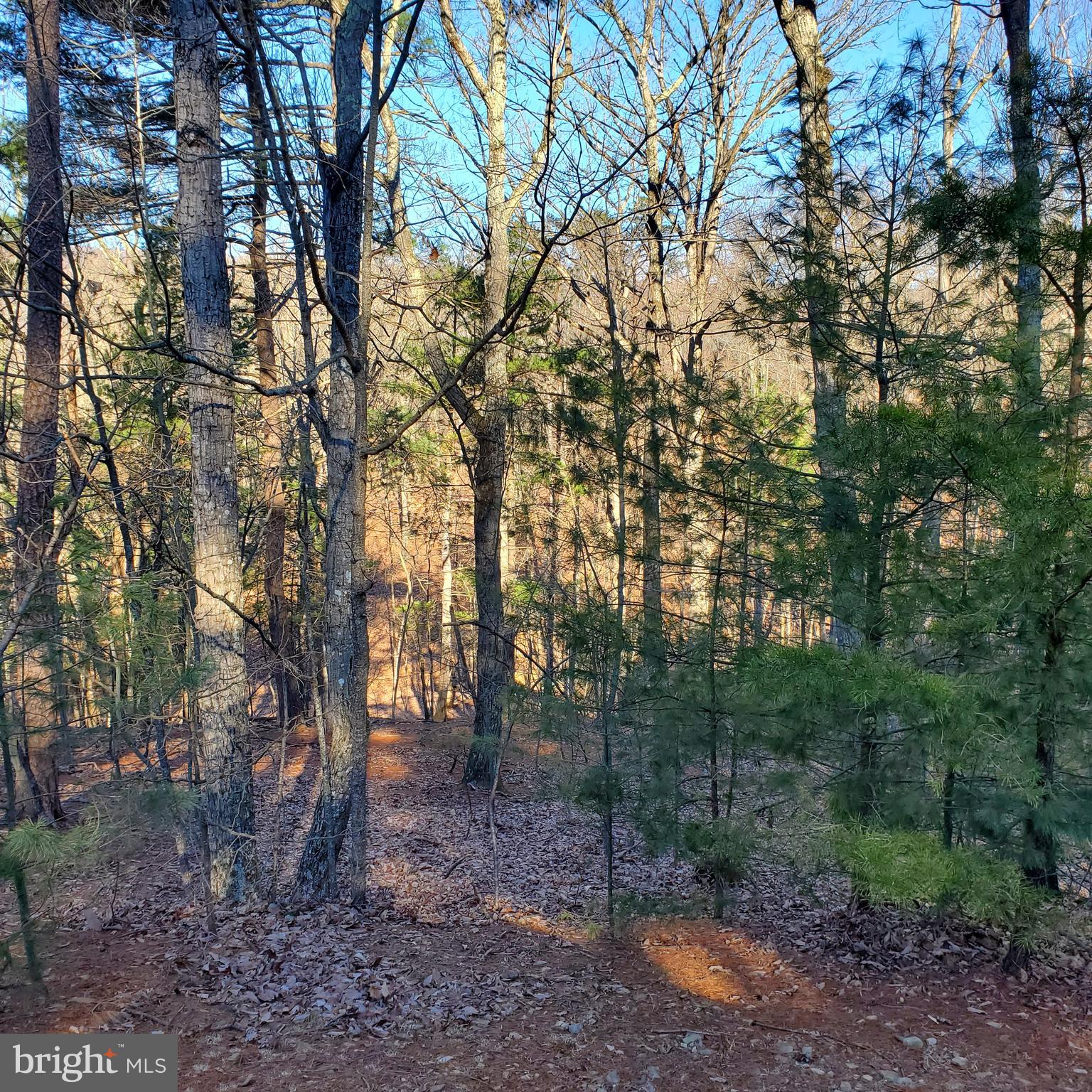 CACAPON SOUTH - Land