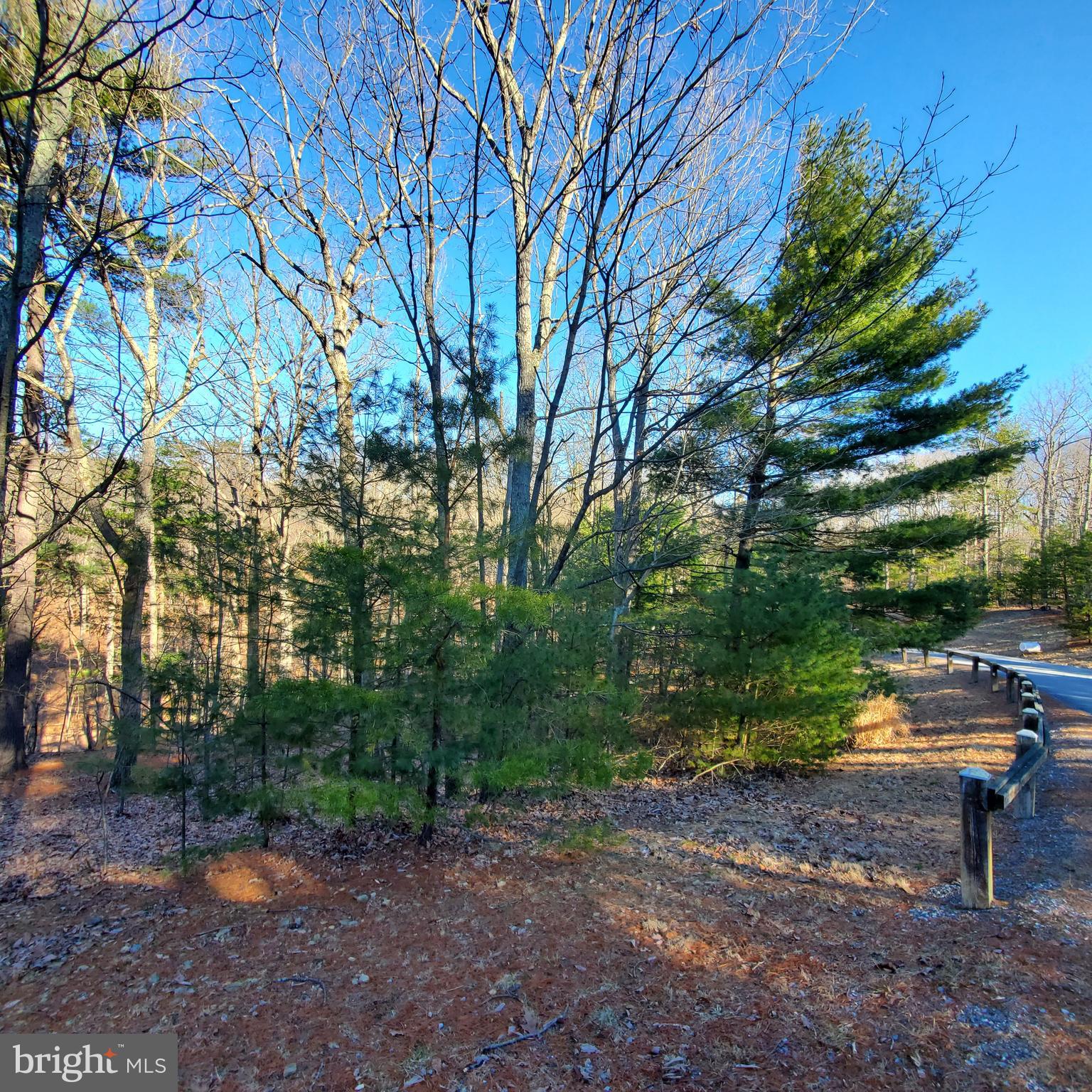 CACAPON SOUTH - Land