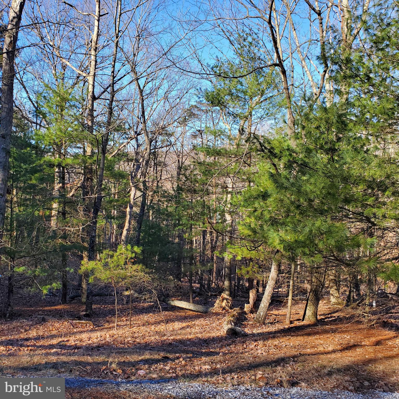 CACAPON SOUTH - Land