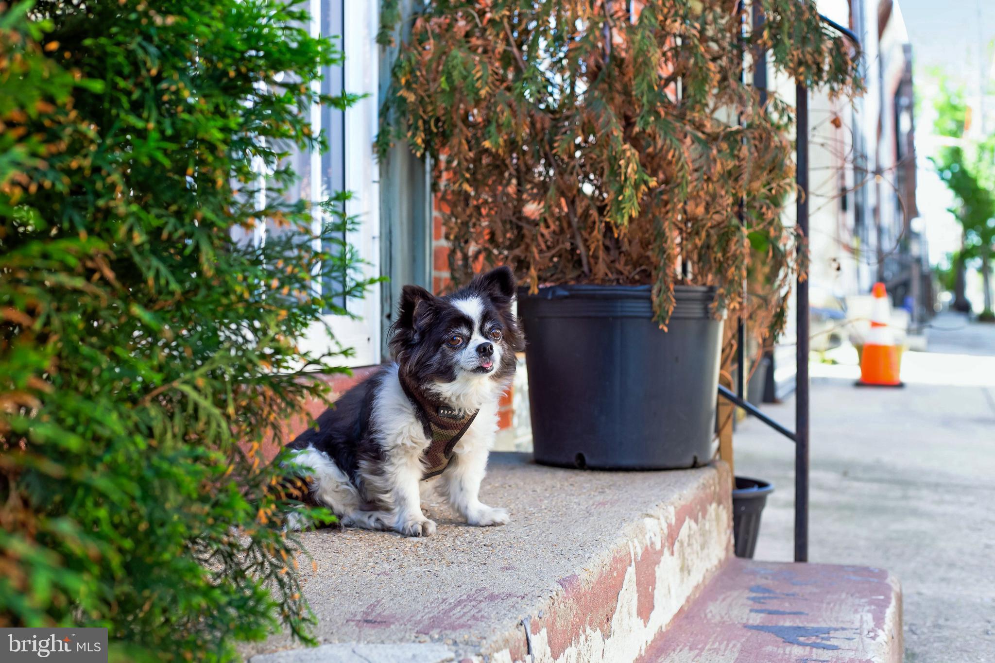 POINT BREEZE - Residential