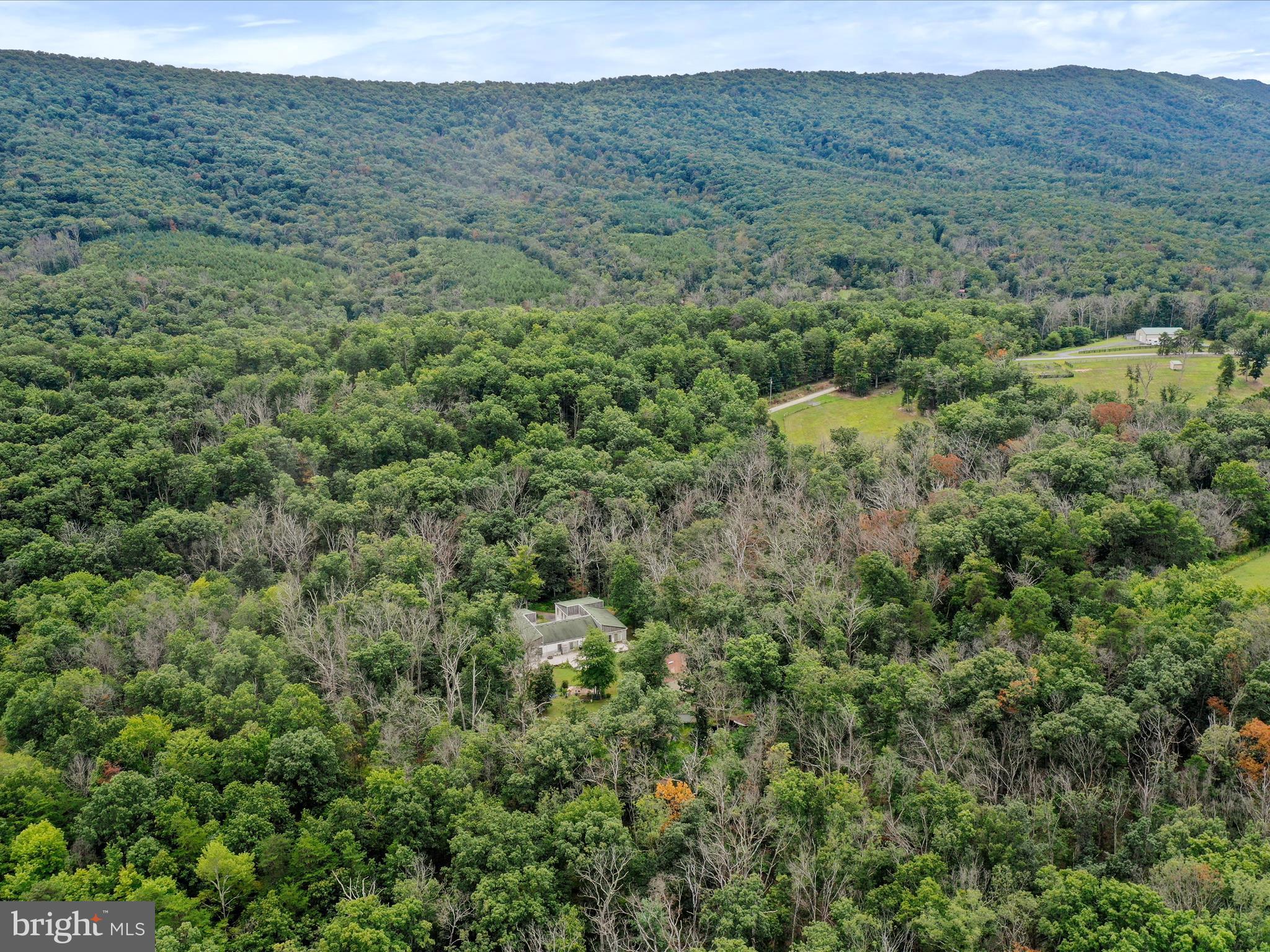 FOREST COLONY - Residential