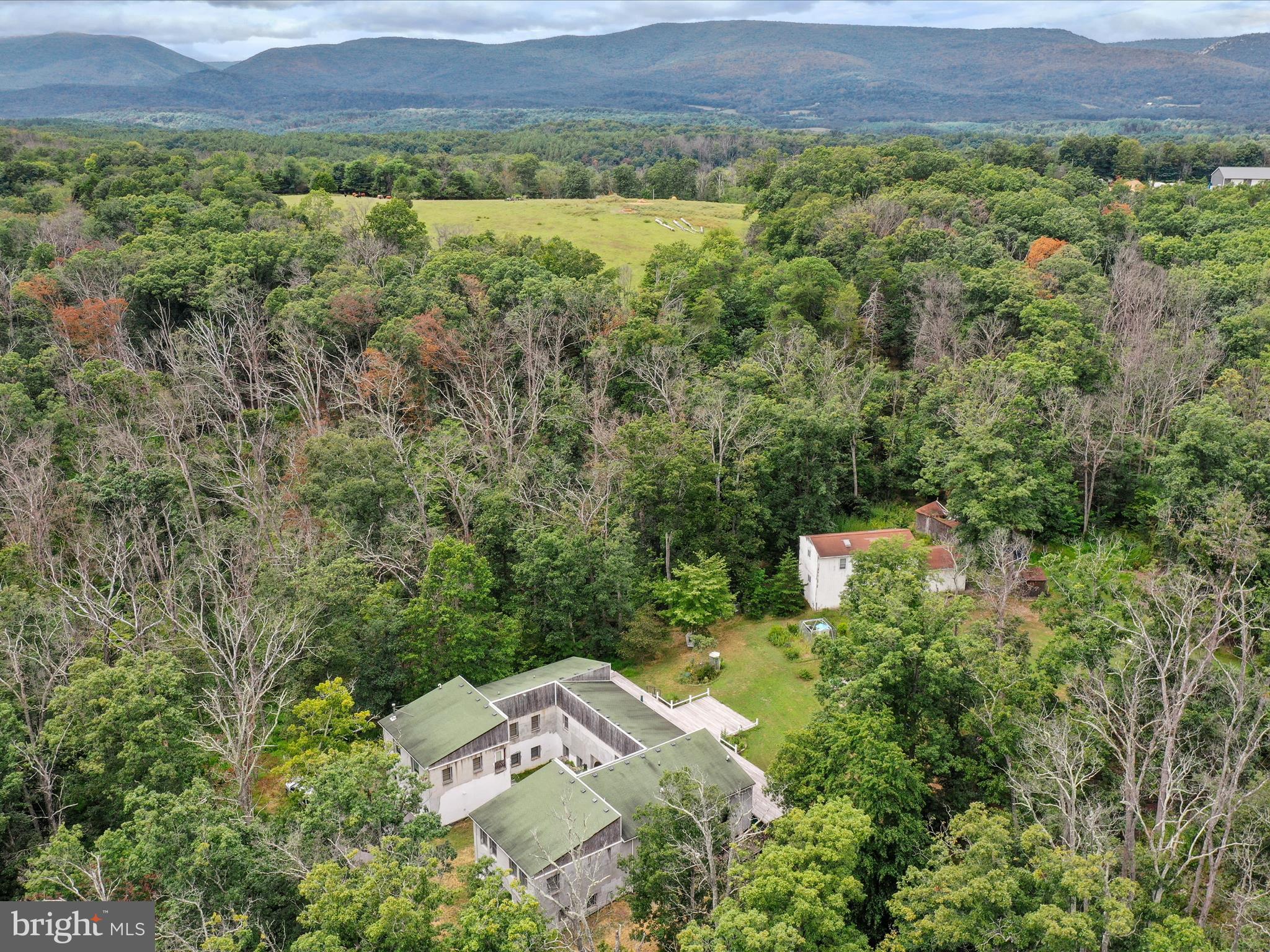 FOREST COLONY - Residential