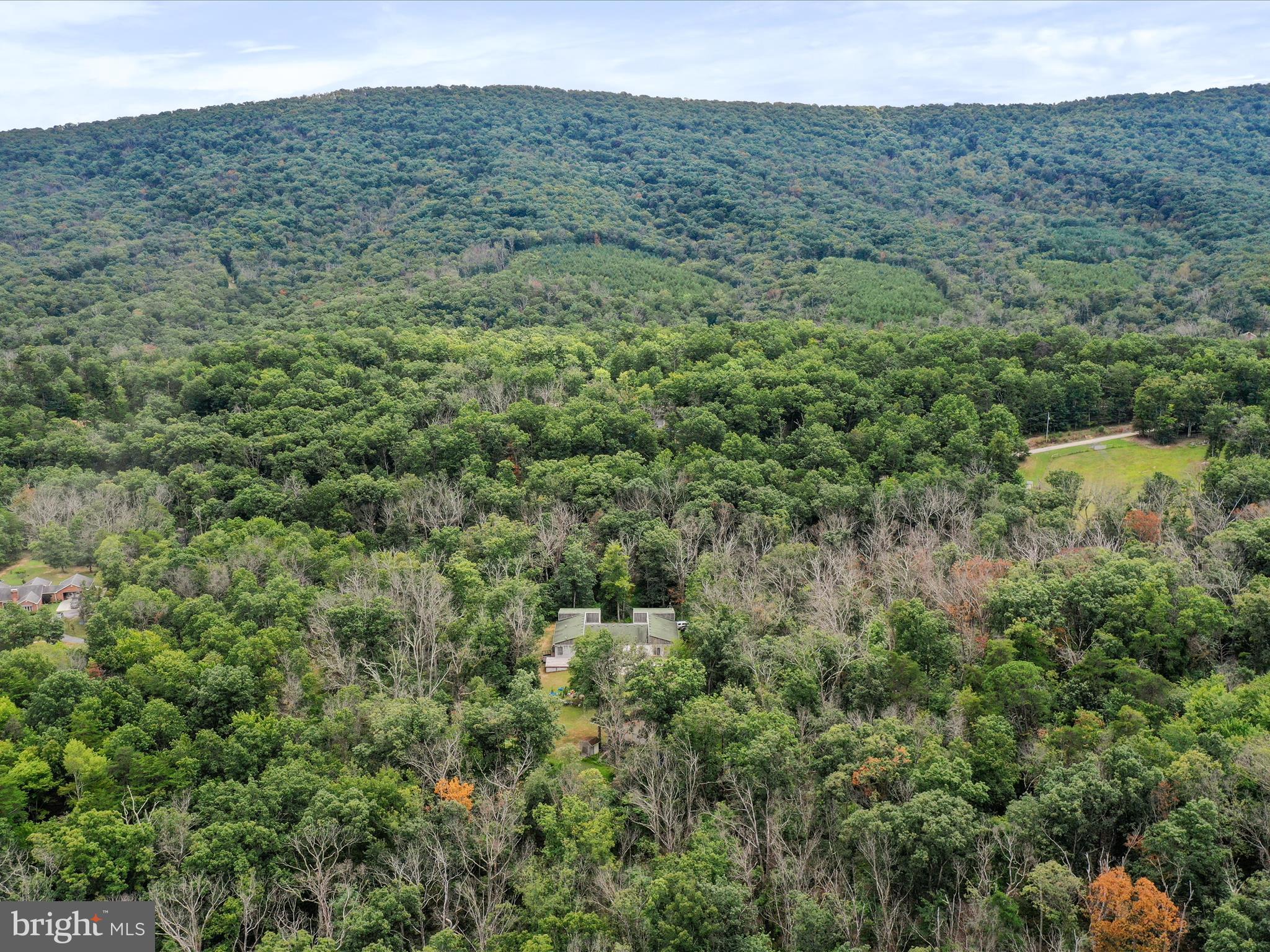 FOREST COLONY - Residential