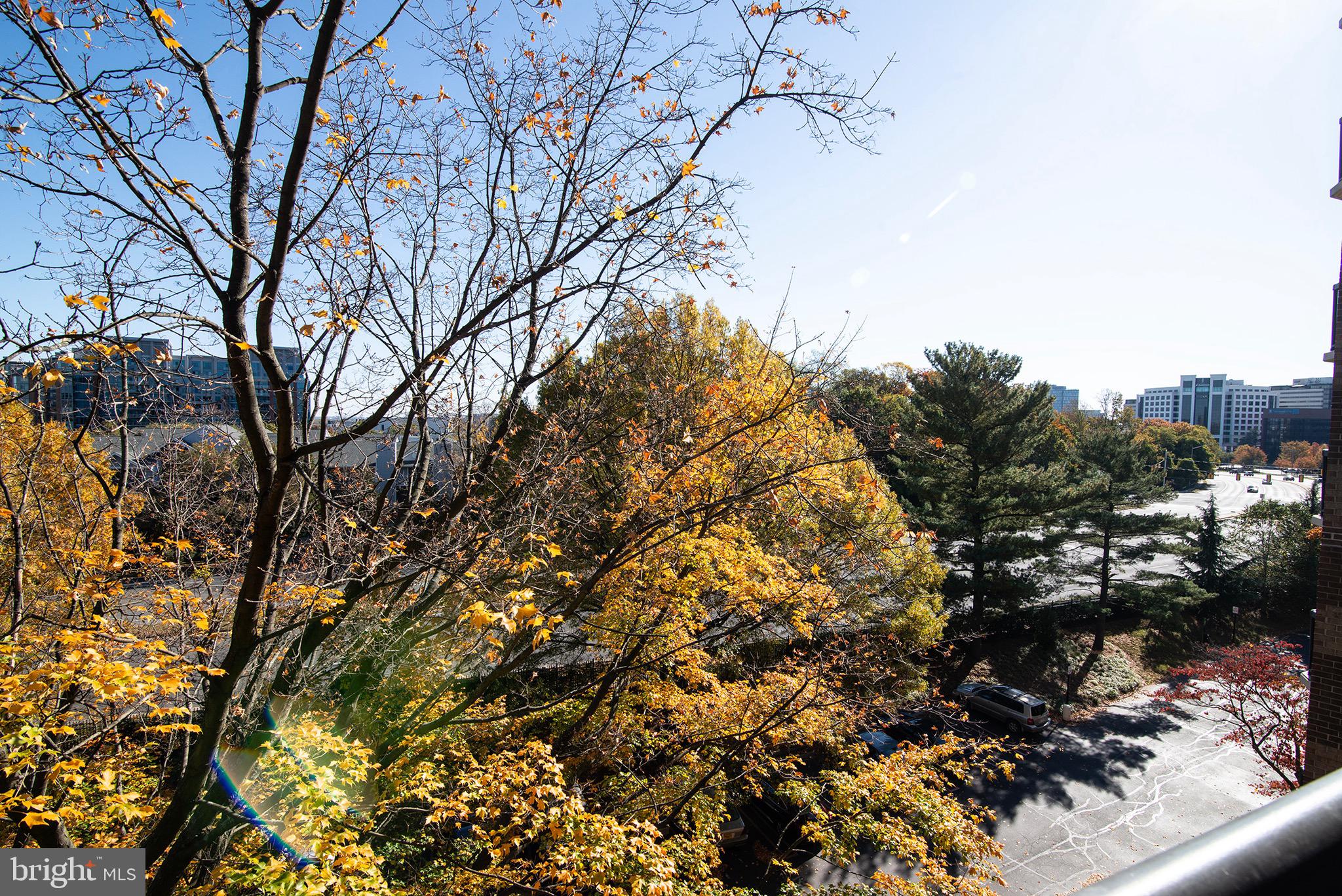 ROTONDA - Residential