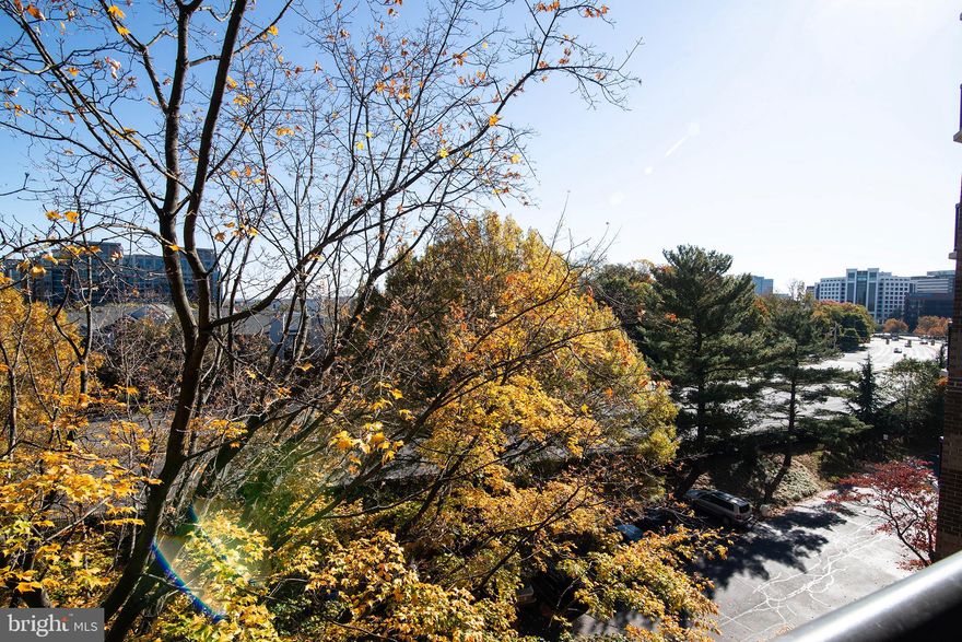 Vintage Home looking for update.  Great location in the complex close to entrance and amenities.  5th Floor  provides tree top views and lots of light.  80 sq ft balcony has ample room to enjoy this view.  This is a wonderful opportunity  to redo the interior of this popular floor plan.   Large Den with closet  is a wonderful office / guest space.   Guest powder room  is a popular feature.  Separate dining area may provide expansion opportunities when you remodel the kitchen.  Similarly the full bathroom area is spacious and also has possibilities upon  its renovation.  New Carrier HVAC just installed. Lots of upside and priced accordingly, Nice Parking Space B29  and separate storage.