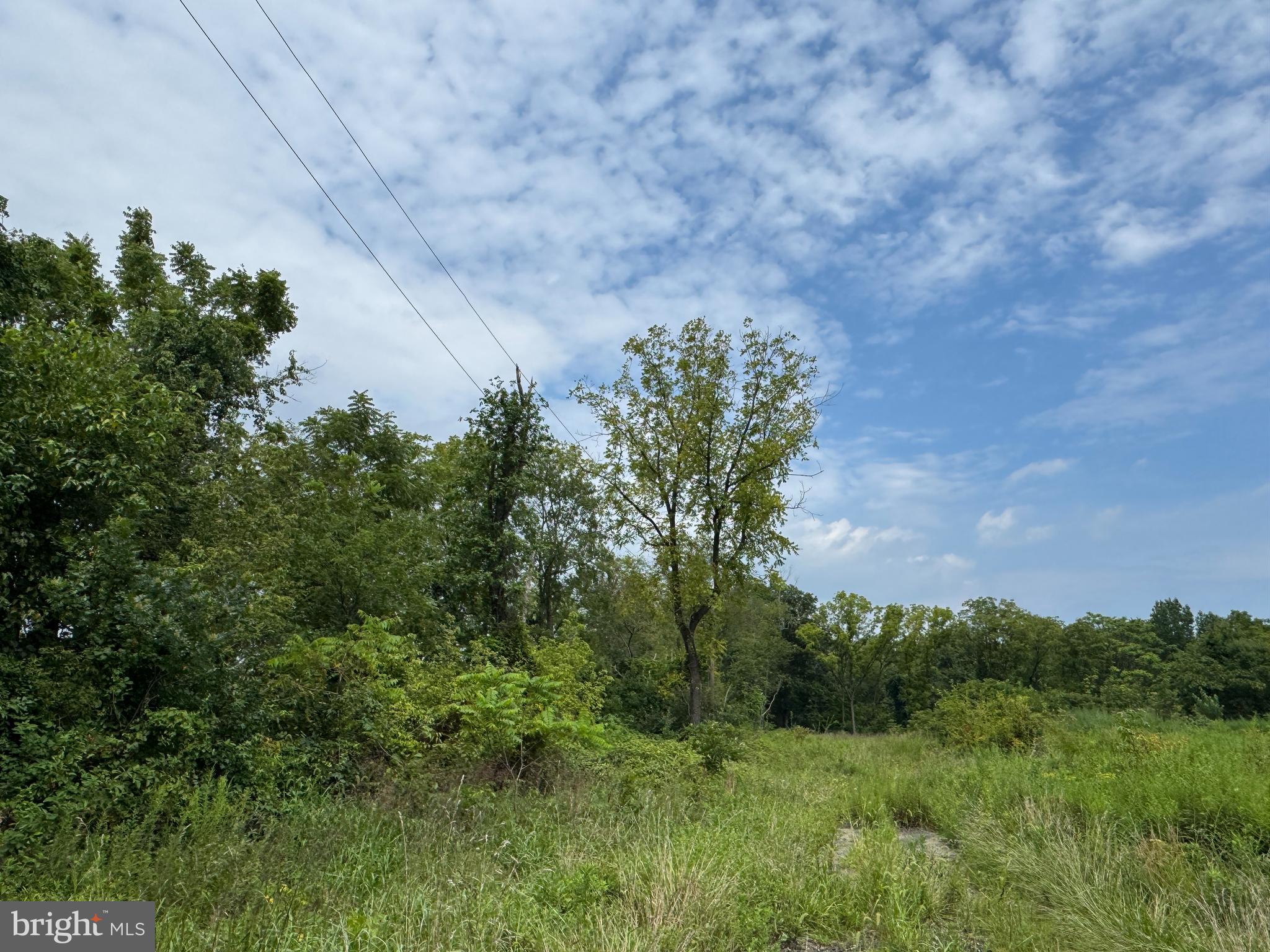 L22 MONROEVILLE SWEDESBORO RD (RT 694)