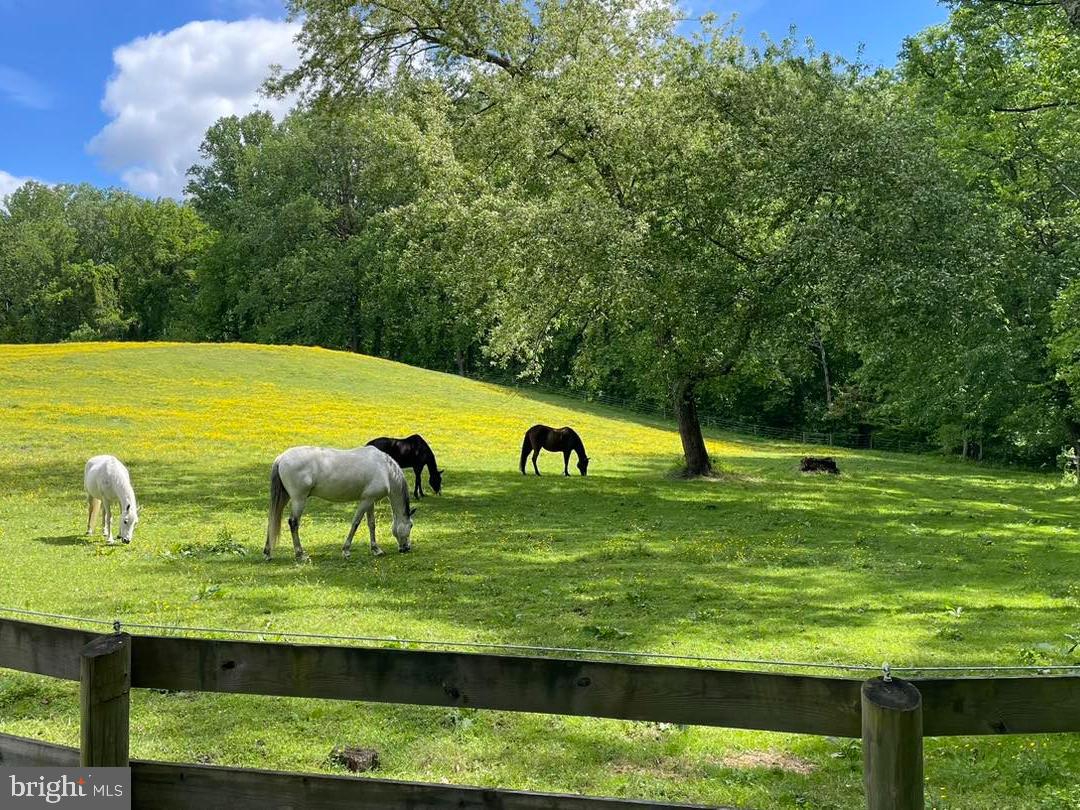 WINDMILL SQUARE - Residential
