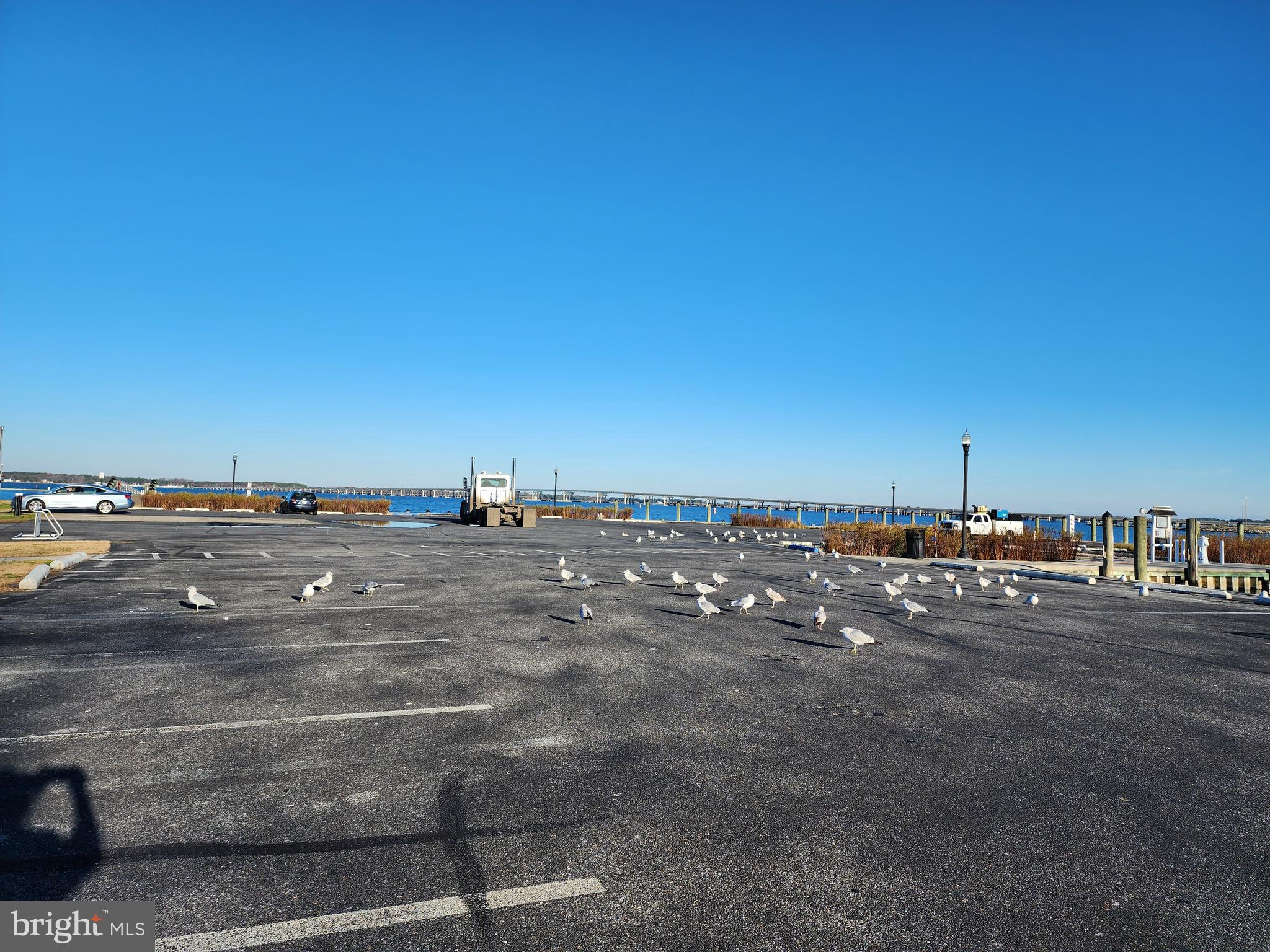 CATTAIL CROSSING - Residential Lease