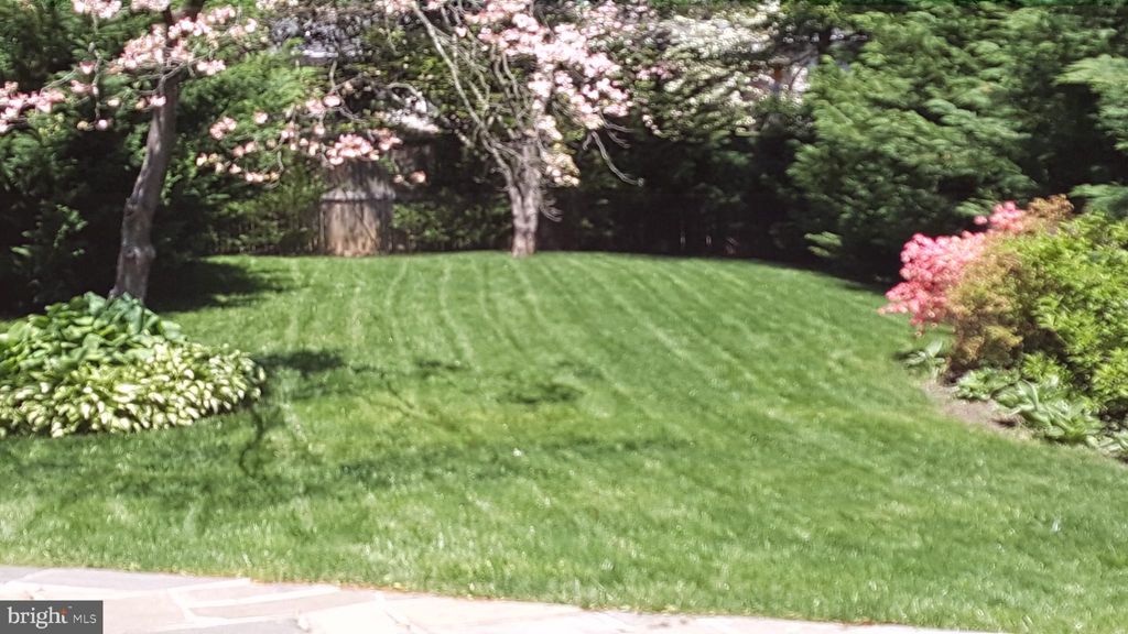 listing image 48