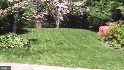 listing image 48