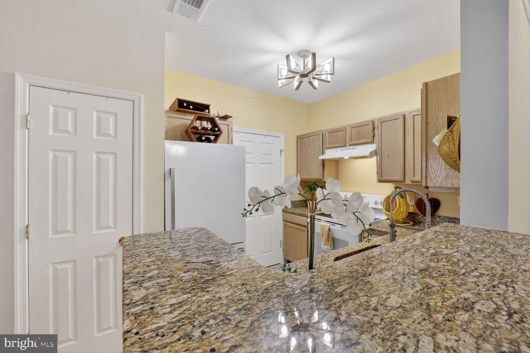 1601 SPRING GATE DRIVE 1411