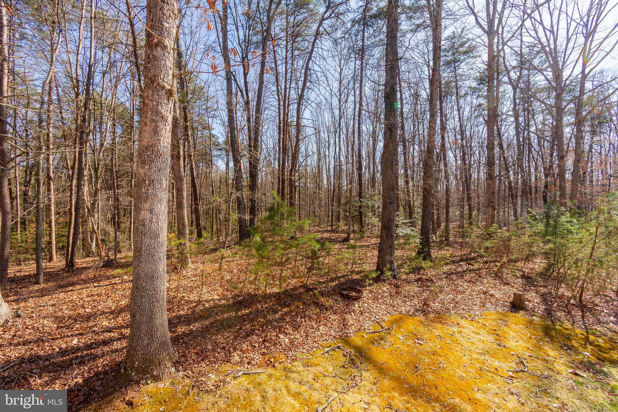 BRIDLEWOOD - Residential