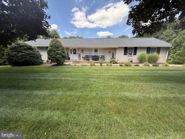 11 SPRINGWOOD AVENUE