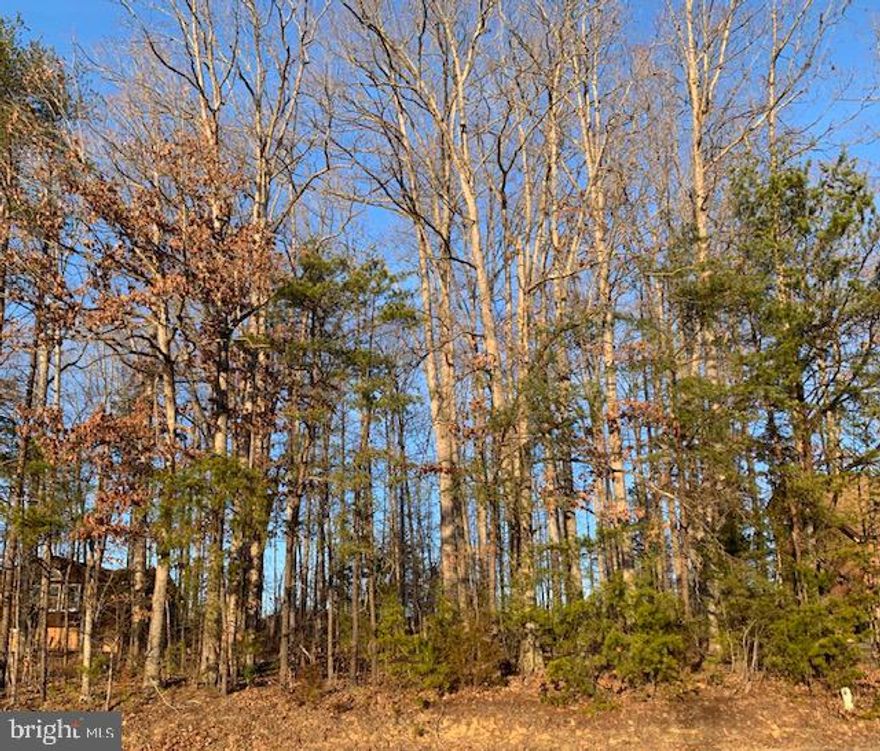 Have you always dreamed of living at the lake? Well look no further! Start drawing up the plans for your new build, and let's get this lake life started! Location close to the front gate and a short walk to the Clubhouse, beach, pool, and fitness center can't be beat! You'll love seeing the spectacular Independence Day fireworks and parade from your property! A private, gated, secured community, Lake of the Woods offers anything and everything you could possibly want. Home to two lakes (the 550 acre main lake and a 35 acre "fishing lake"), a golf course, an equestrian center, a fire and rescue department, and a church all within the gates, Lake of the Woods simply has it all. Whether your passion is boating, water skiing, kayaking, golfing, horseback riding, or simply taking in the breathtaking views from the clubhouse while enjoying a fabulous meal, from your own deck or yard, or from one of the beaches, you won't be disappointed! Perhaps you'd like a game of bridge or volunteering your time and talents...Lake of the Woods offers more than 60 clubs and/or organizations from which you may choose to become involved. Located in Orange County, we are fortunate to enjoy low real estate taxes. Coupled with home prices ranging from $100,000 to over $2,000,000, Lake of the Woods is the perfect community for both full-time residents, as well as weekenders. But don't take my word for it, please come see for yourself! I will gladly give you a tour of Lake of the Woods by boat and by car so that you may experience why I love Lake of the Woods!