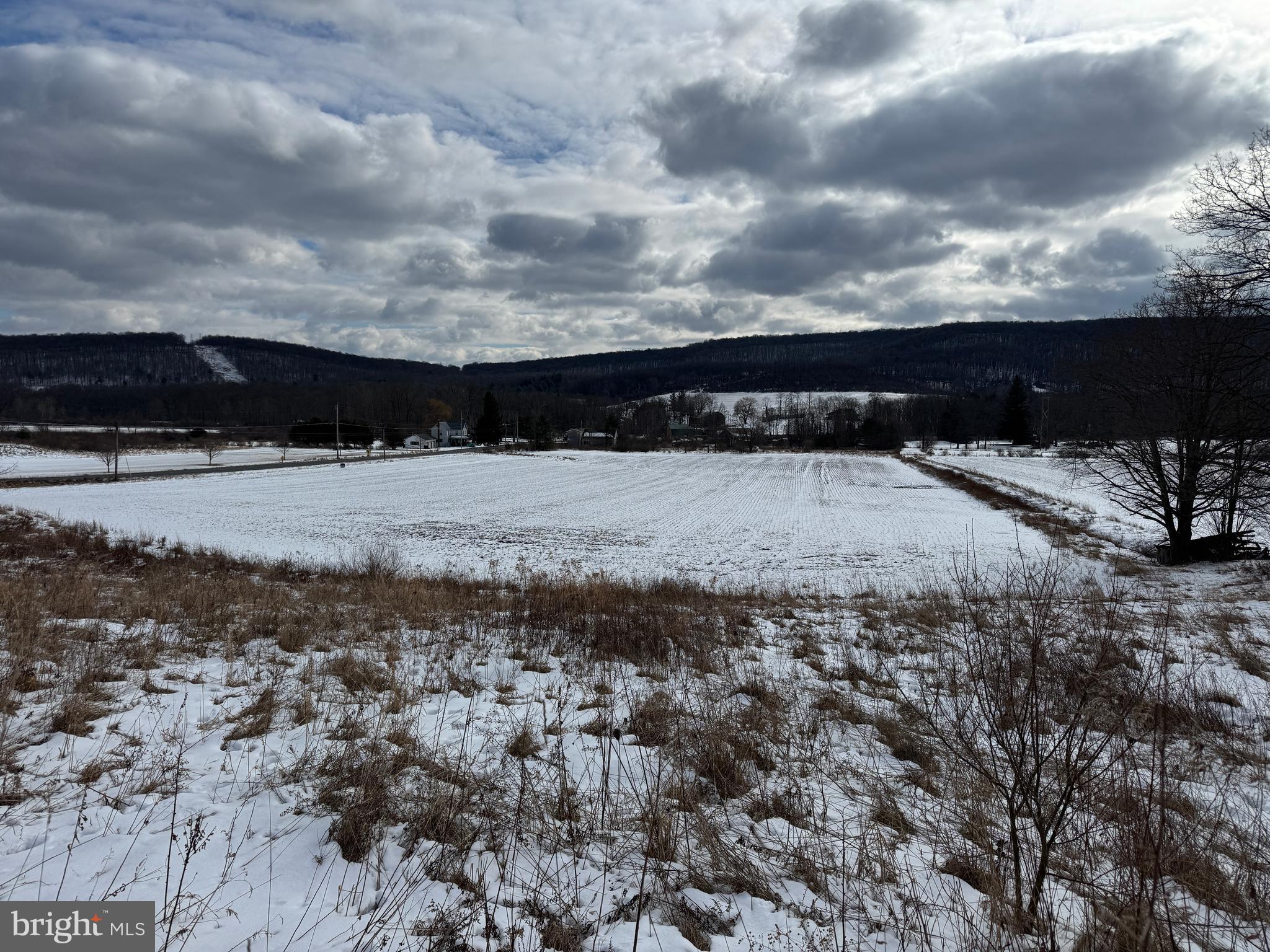 NONE AVAILABLE - Farm