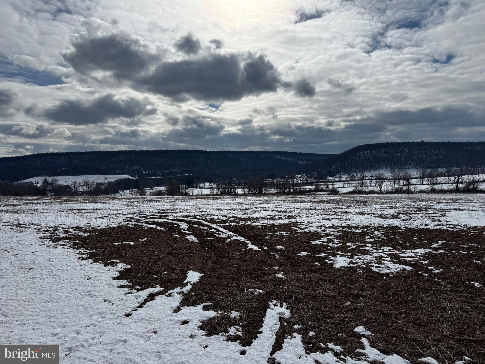 NONE AVAILABLE - Farm