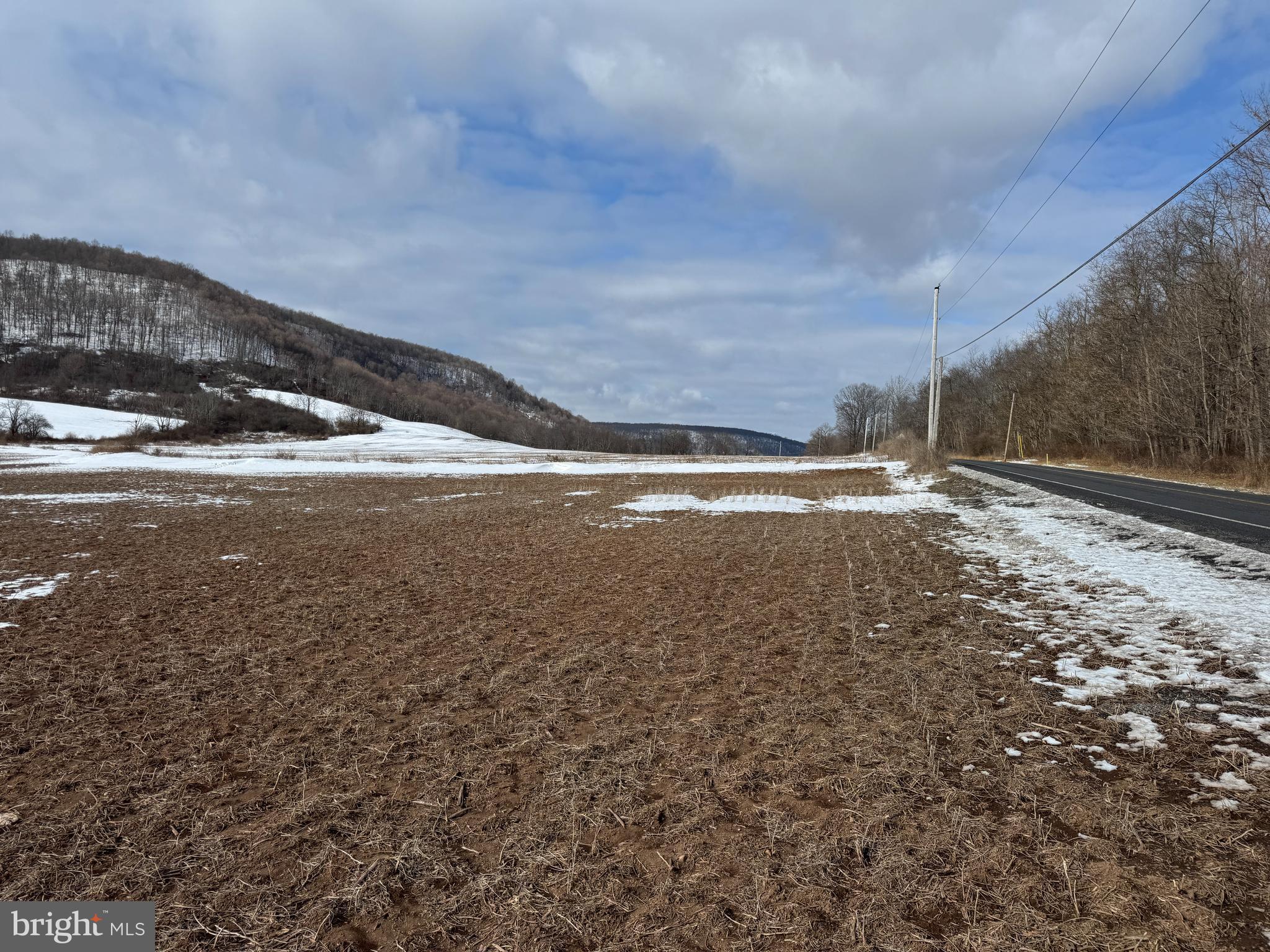 NONE AVAILABLE - Farm