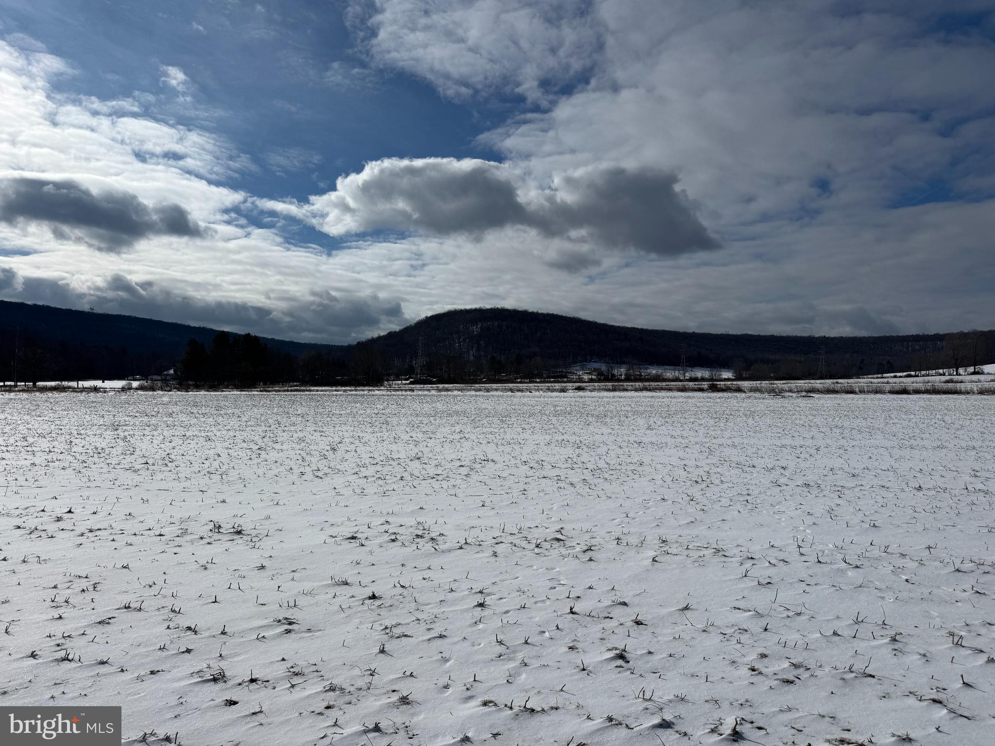 NONE AVAILABLE - Farm