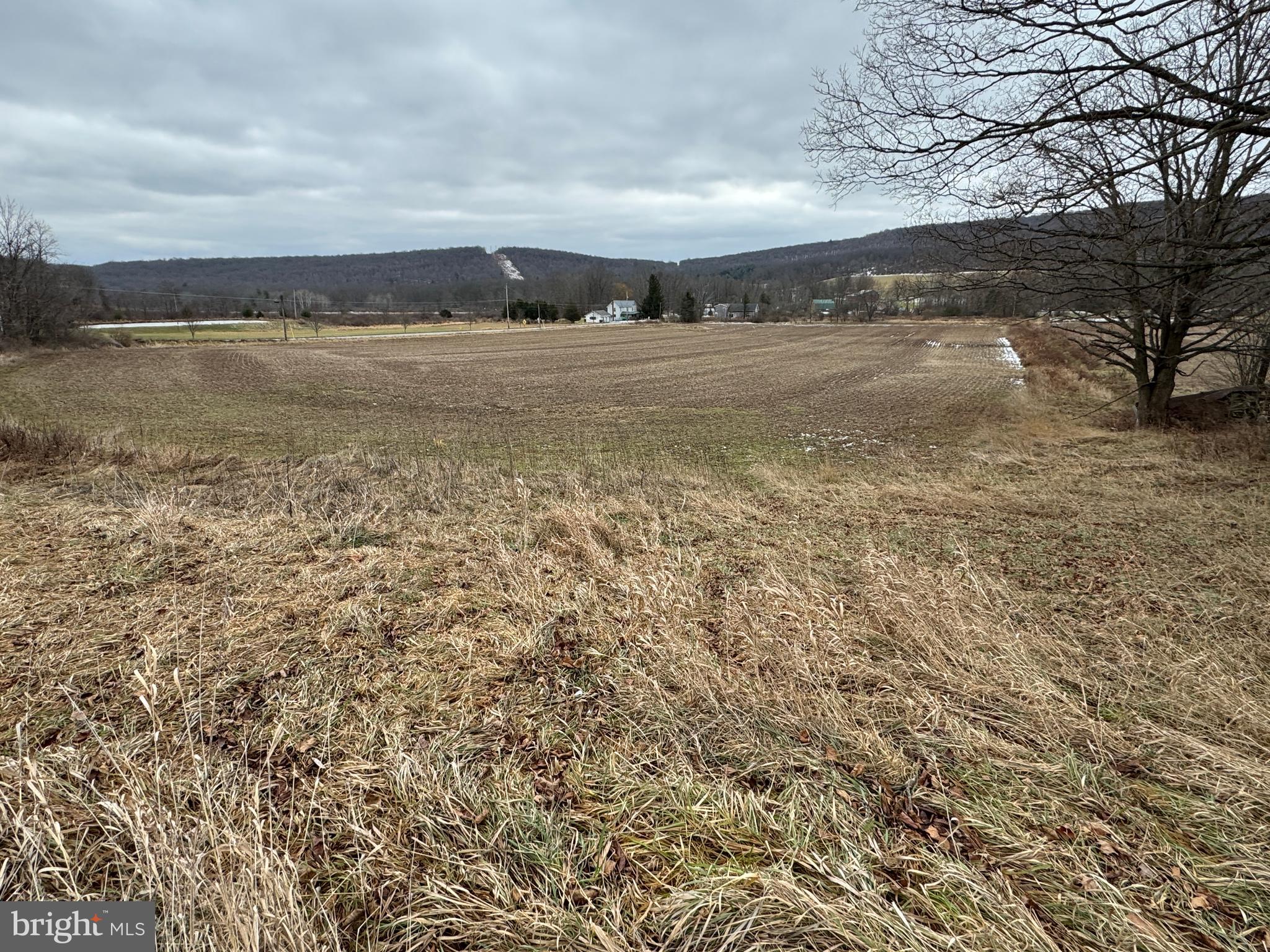 NONE AVAILABLE - Farm