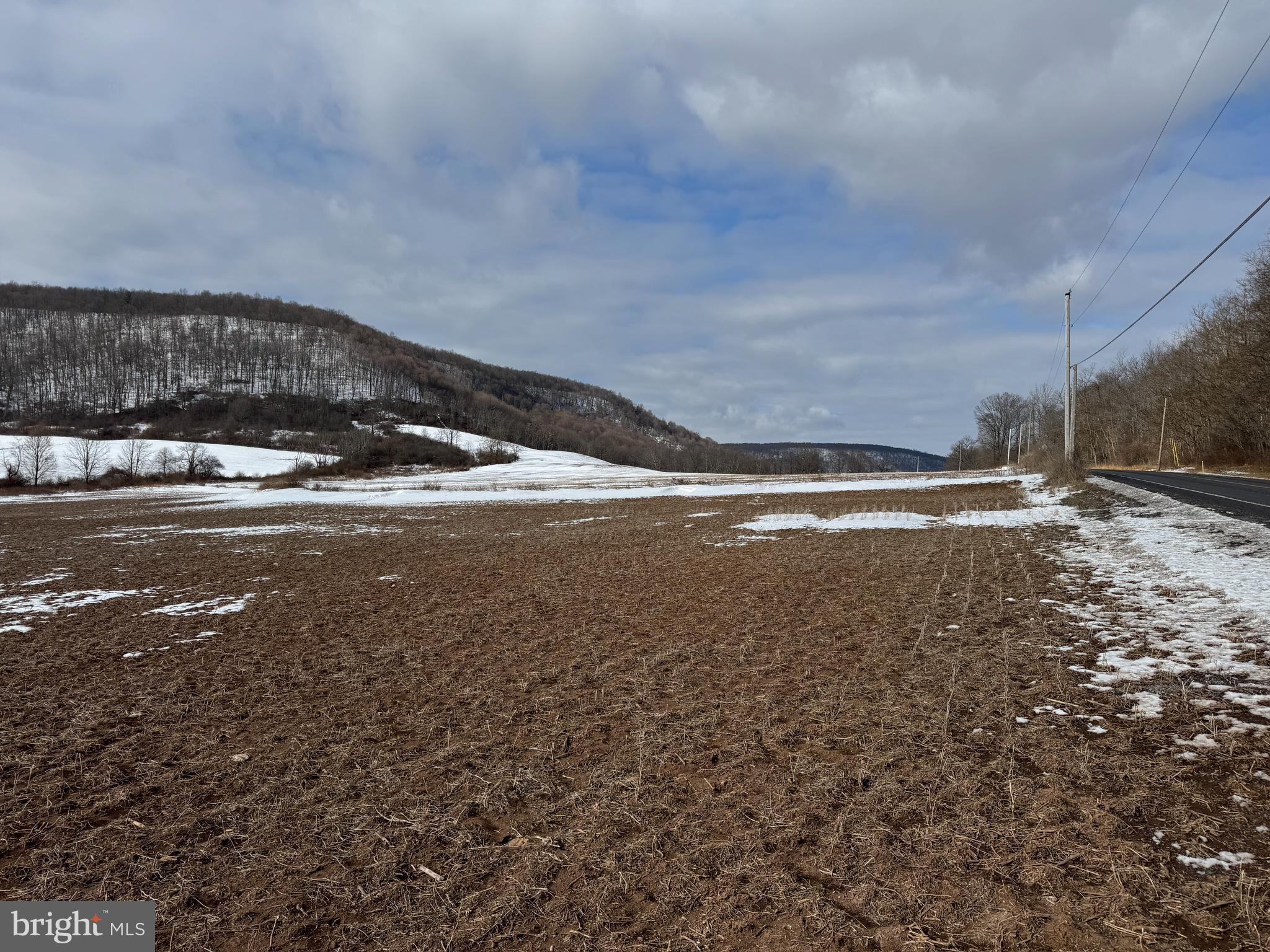 NONE AVAILABLE - Farm