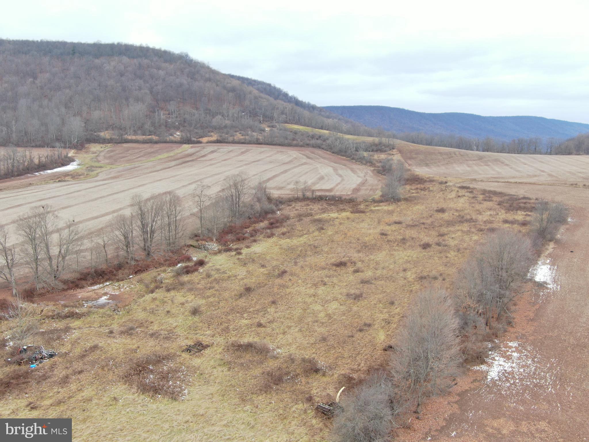 NONE AVAILABLE - Farm