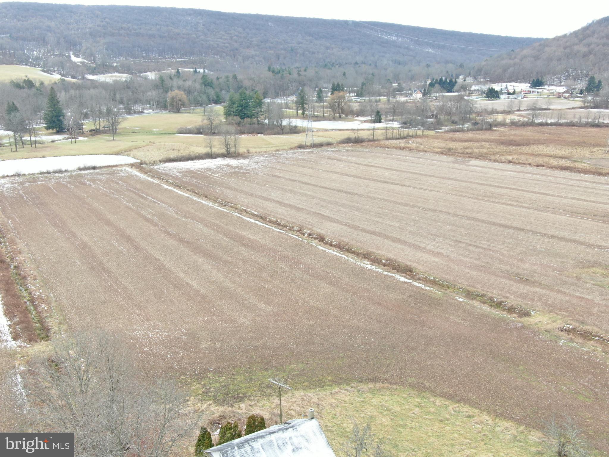 NONE AVAILABLE - Farm