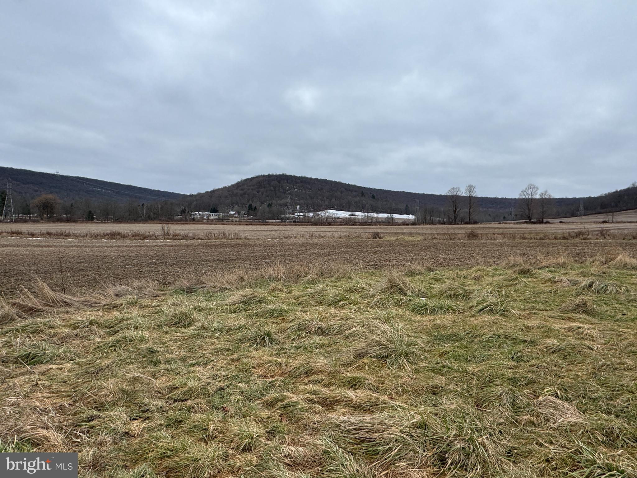 NONE AVAILABLE - Farm