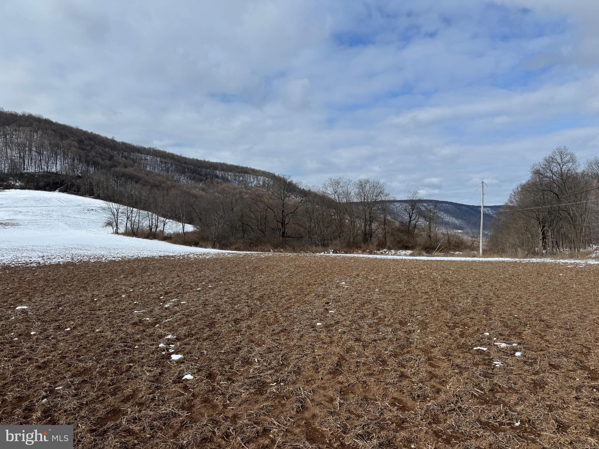 NONE AVAILABLE - Farm