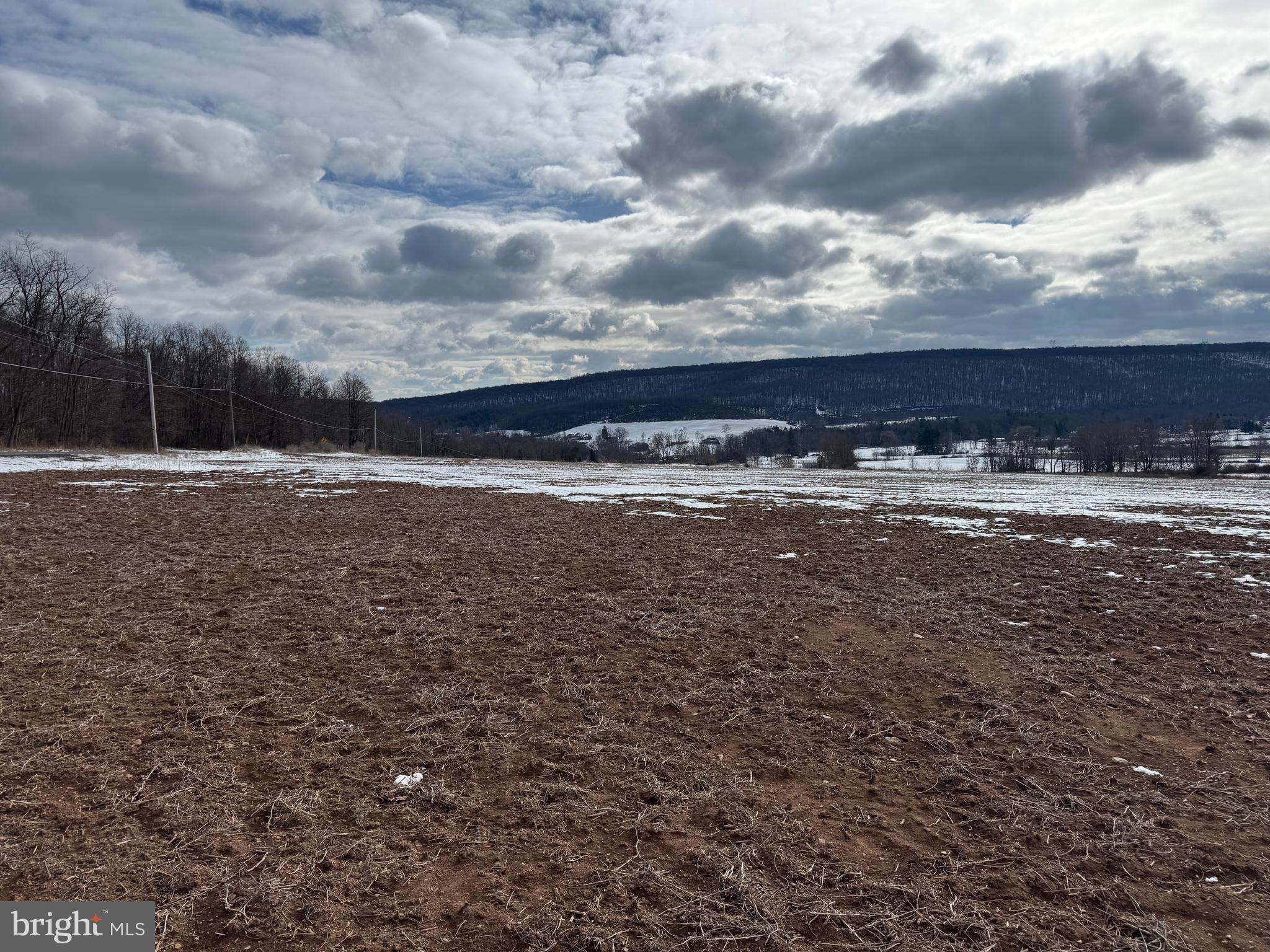 NONE AVAILABLE - Farm