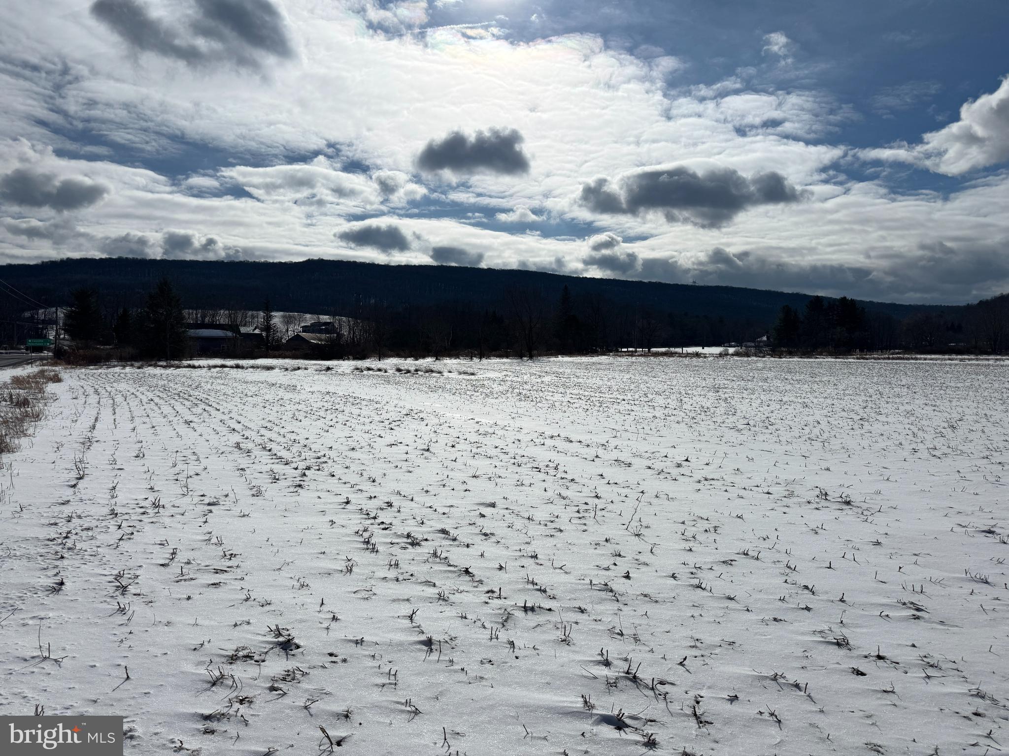 NONE AVAILABLE - Farm