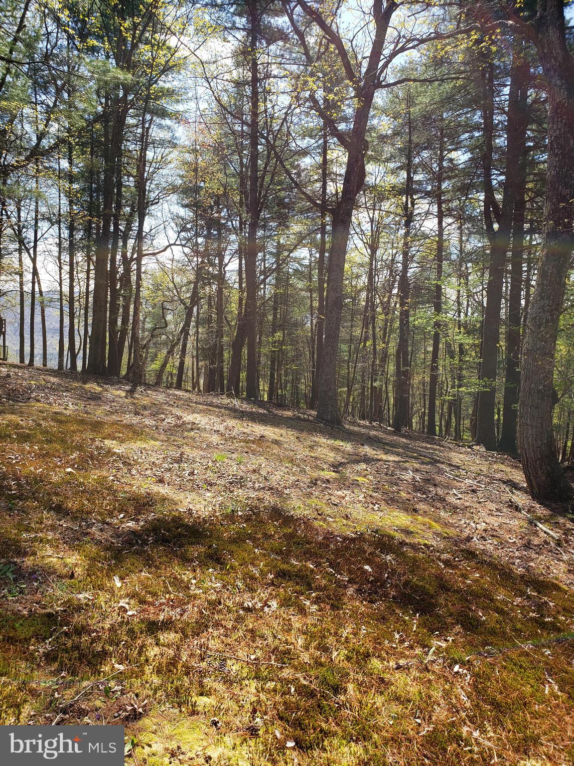 RIVER BEND - Residential