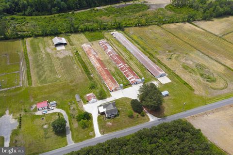 Homes For Sale - 6518 Friendship Road<br/> PITTSVILLE, MD 21850