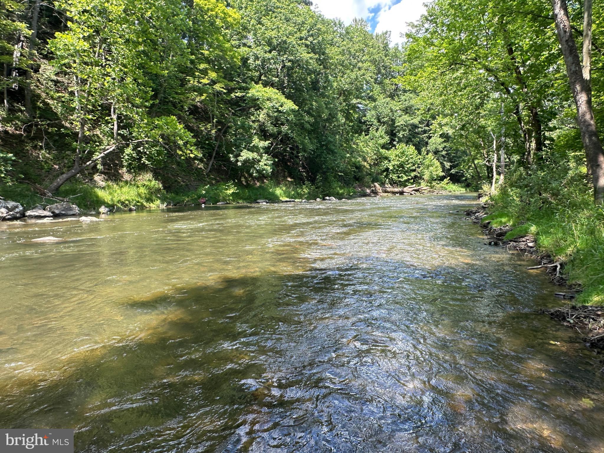 109 ACRES ON CACAPON RIVER