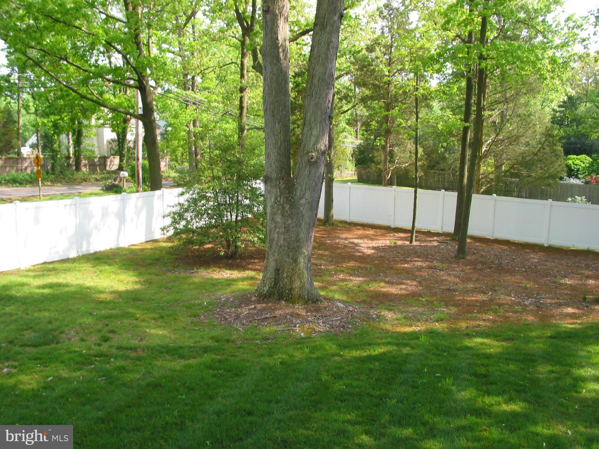 MT VERNON FOREST - Residential Lease