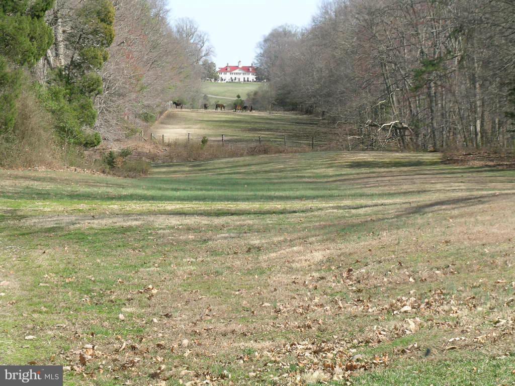 MT VERNON FOREST - Residential Lease