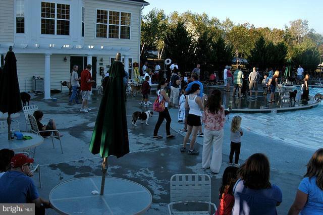 BELMONT GREENE - Residential Lease