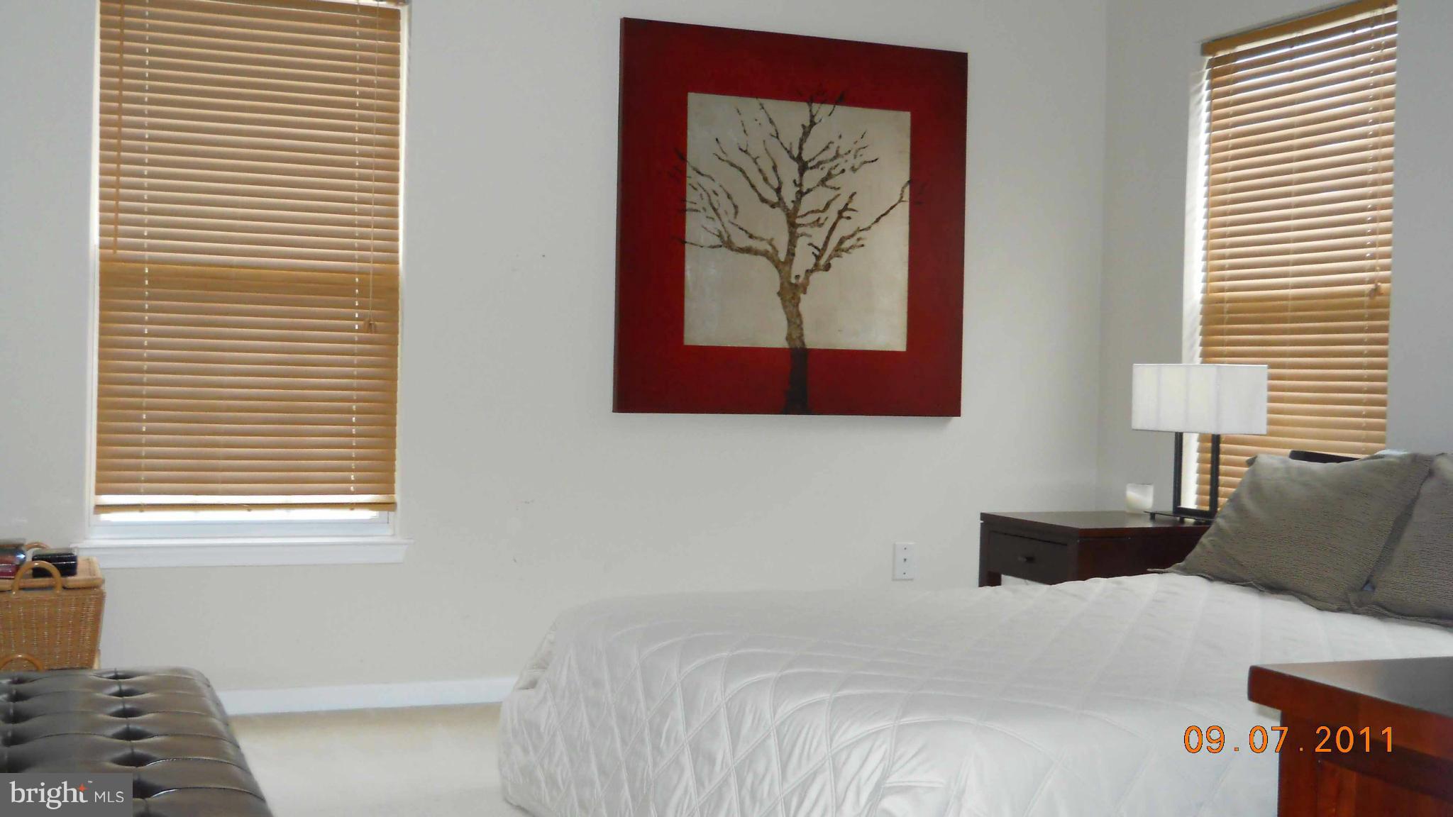 BELMONT GREENE - Residential Lease