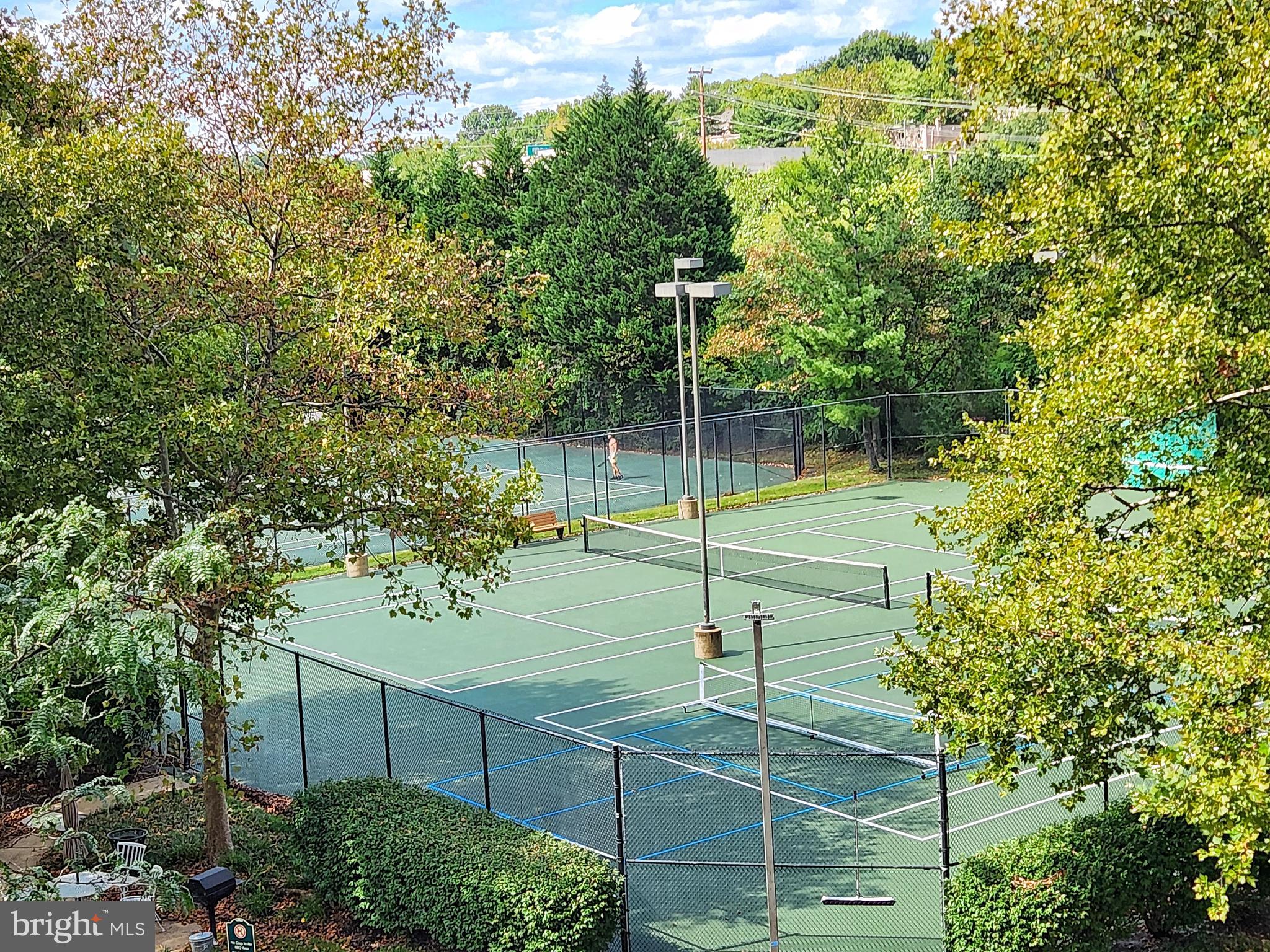 CARLYLE TOWERS - Residential Lease