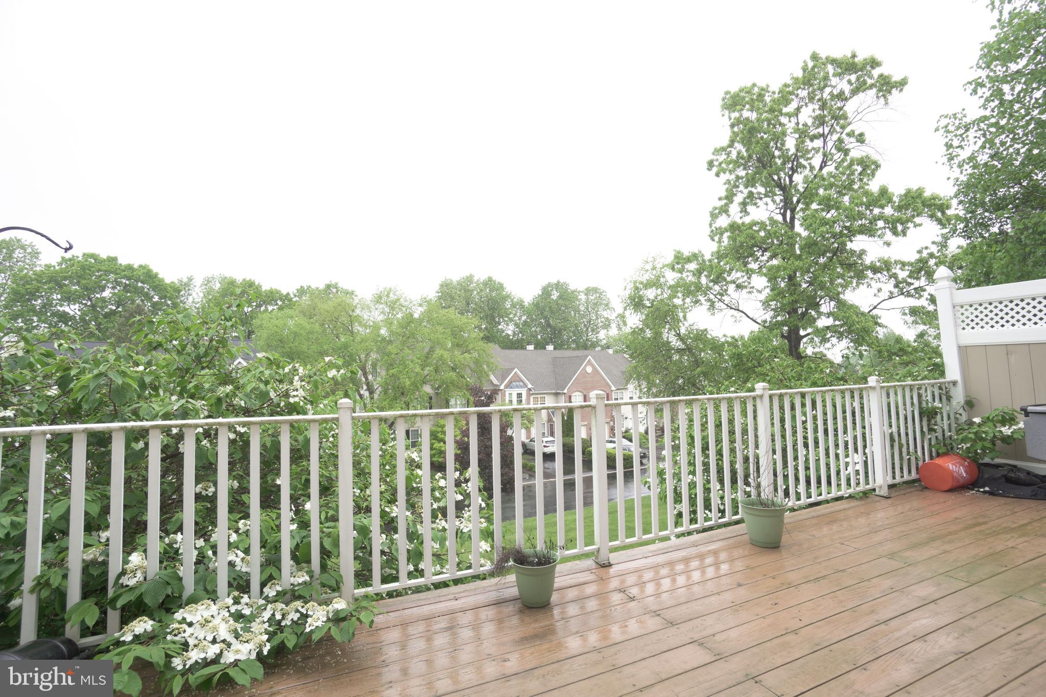 REBEL HILL - Residential Lease