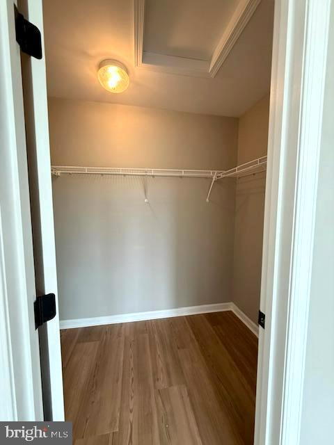 COUNTY GREEN - Residential Lease