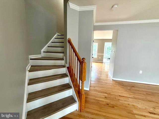 COUNTY GREEN - Residential Lease