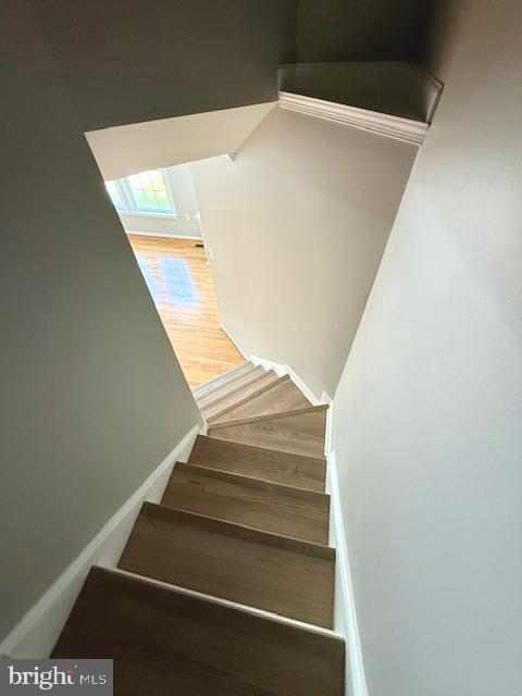 COUNTY GREEN - Residential Lease