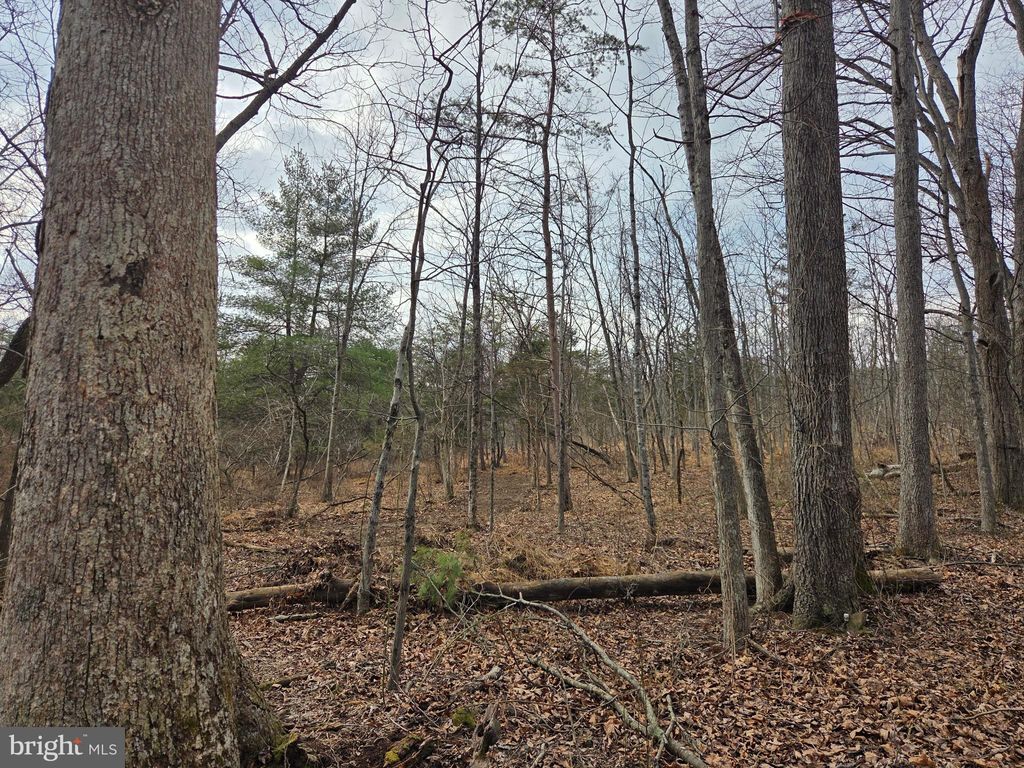 Photo of 1237 Buckwheat Road, MILLERSTOWN, PA 17062 (MLS # PAPY2009012)