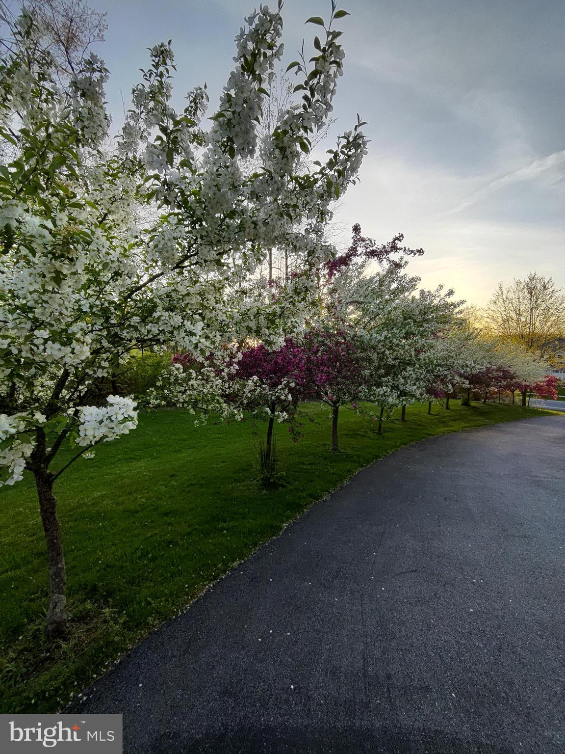 THISTLEWOOD - Residential