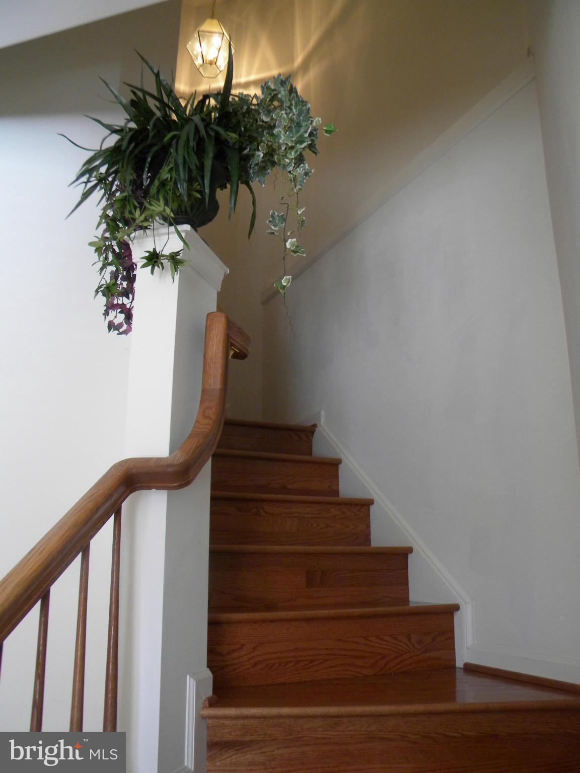 PINEY ORCHARD - Residential