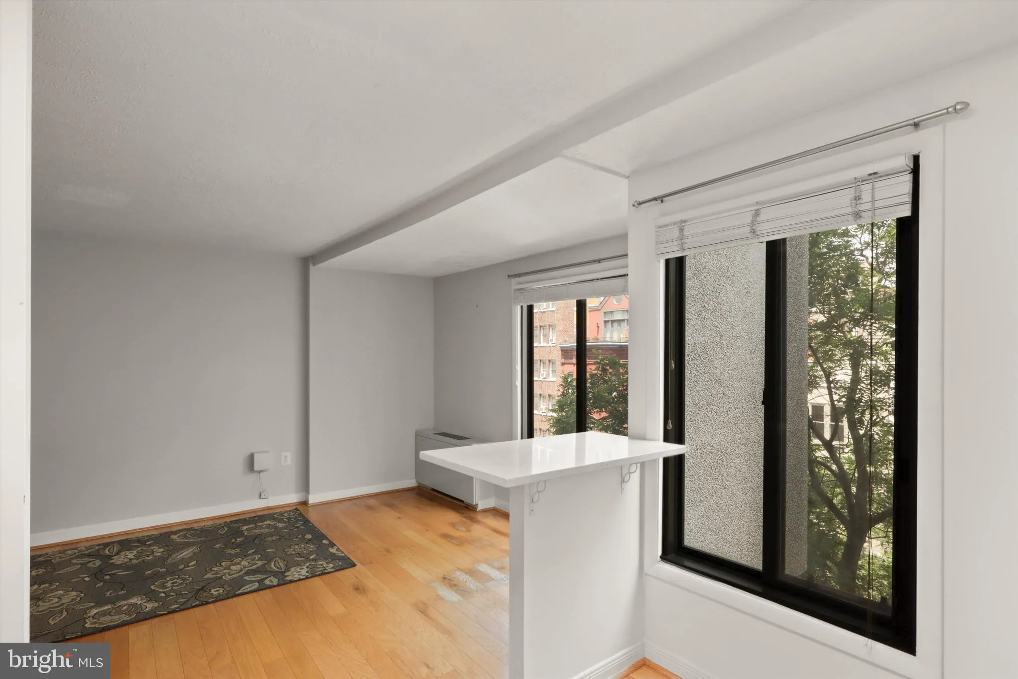 Washington, District Of Columbia 20005, United States, ,1 BathroomBathrooms,Residential,Active,150386