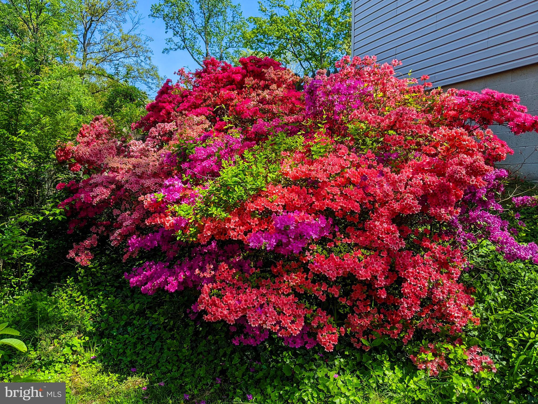 SARATOGA - Residential