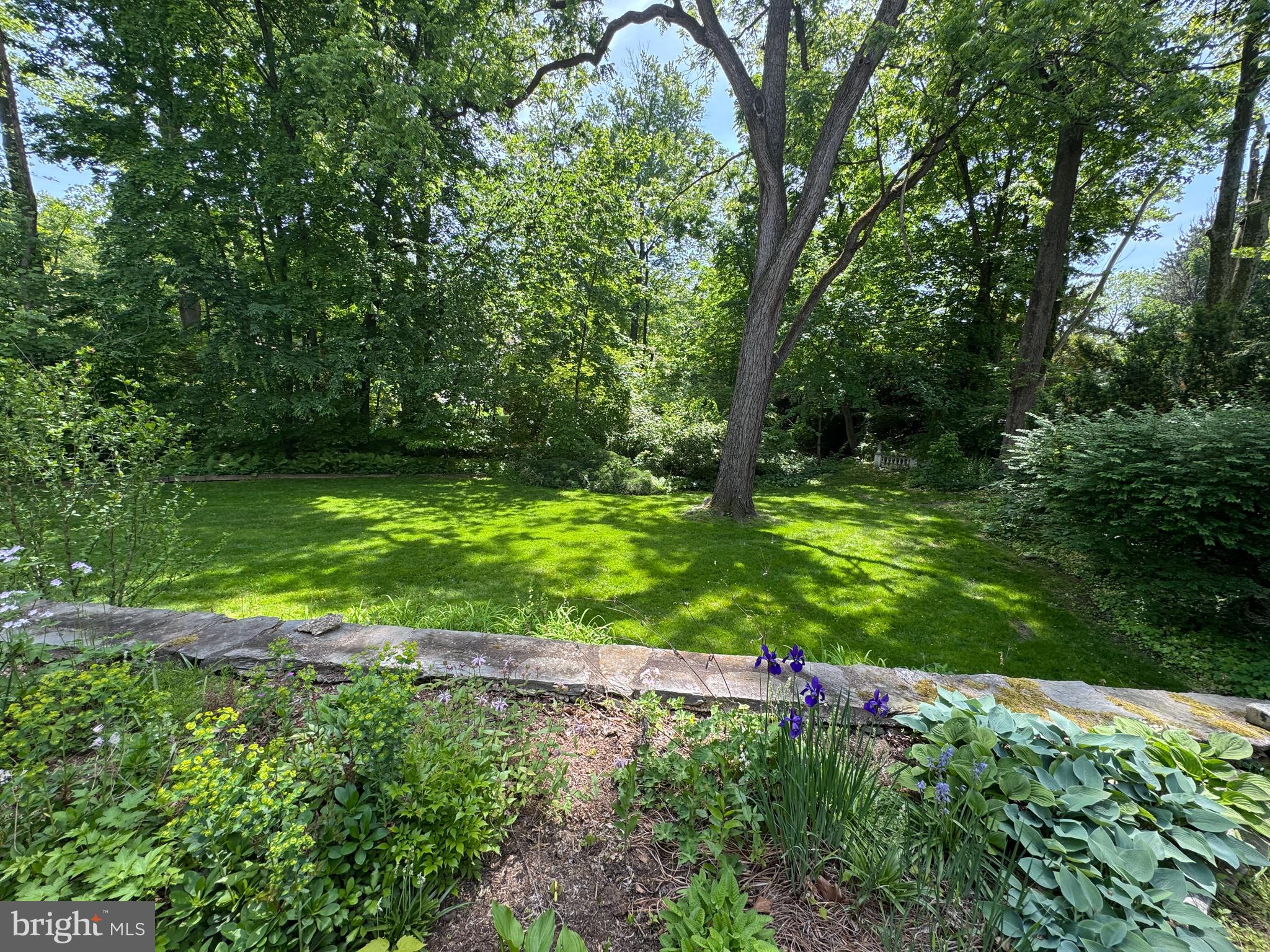 WYNNEWOOD VALLEY - Residential